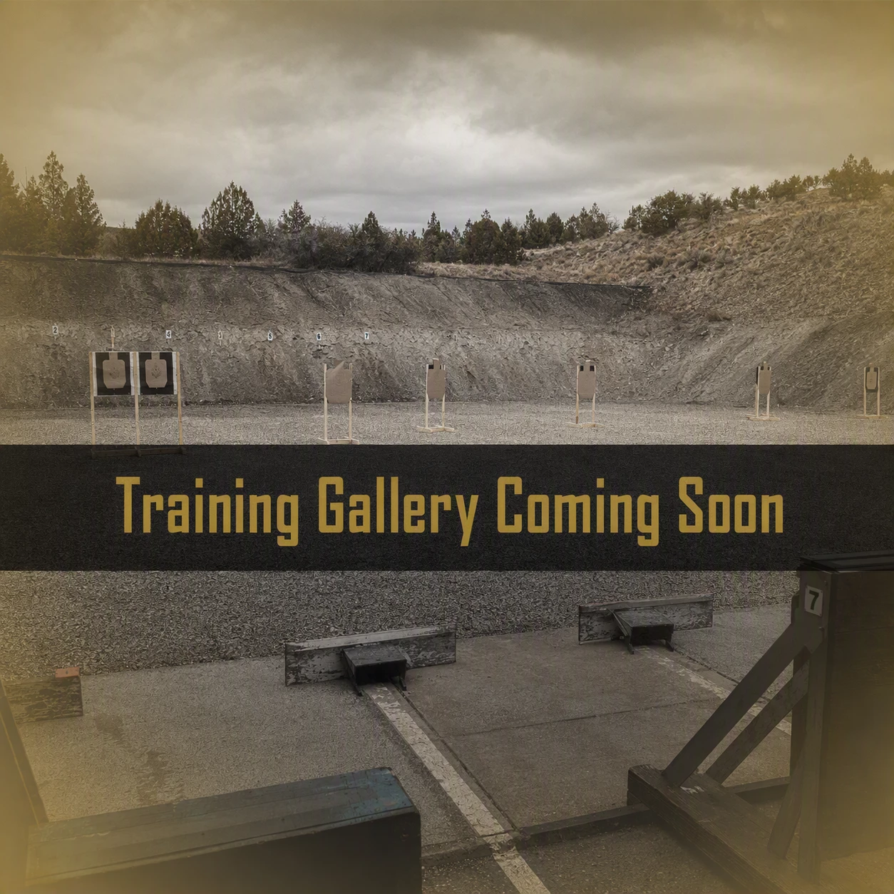 Nazario Arms Training Session